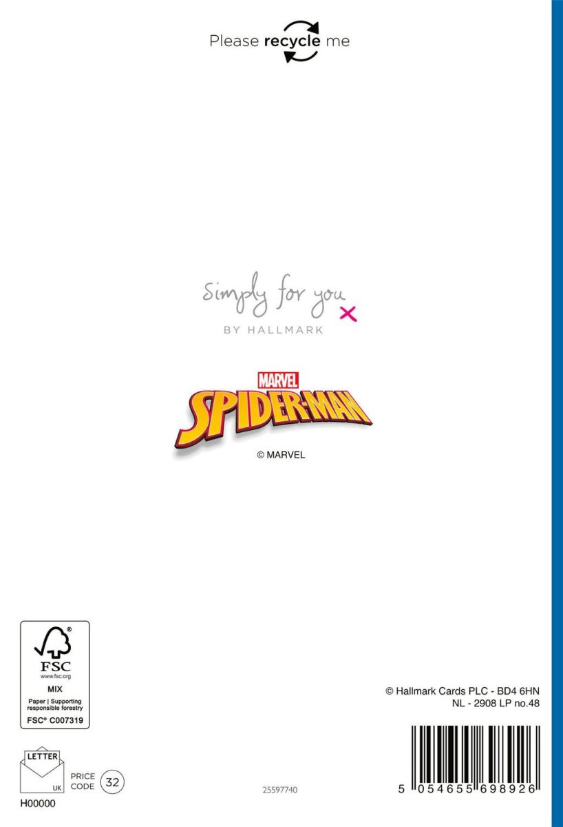 Hallmark - Swing Your Way To Birthday Fun, Marvel Spiderman - The Imagination Shop