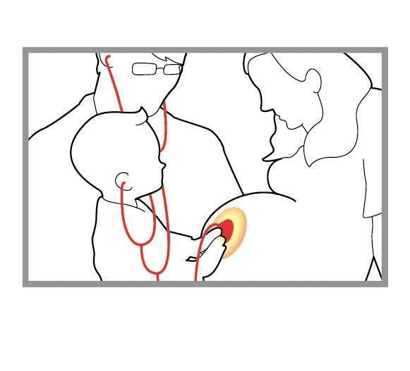 Twin Stethoscope Curious Minds