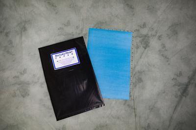 20 Large Sheets of Nature Print/Cyanotype Paper (11" x 17") Curious Minds