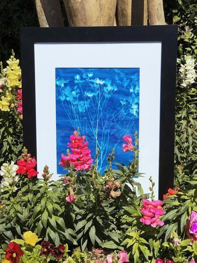 20 Large Sheets of Nature Print/Cyanotype Paper (11" x 17") Curious Minds