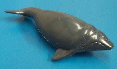 Southern Right Whale Figurine Curious Minds