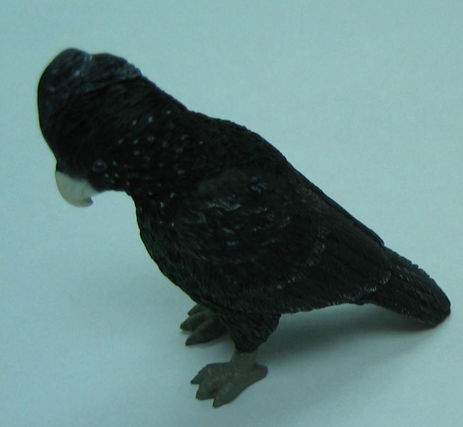 Red Tailed Black Cockatoo Figurine Curious Minds