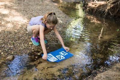 20 Large Sheets of Nature Print/Cyanotype Paper (11" x 17") Curious Minds