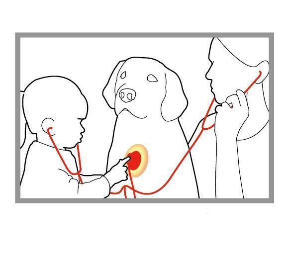 Twin Stethoscope Curious Minds