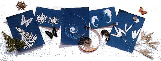 Curious Minds Sun Print Paper Kit, 10 Sheet Pack of Cyanotype Paper, 18x13 cm Sheets Curious Minds